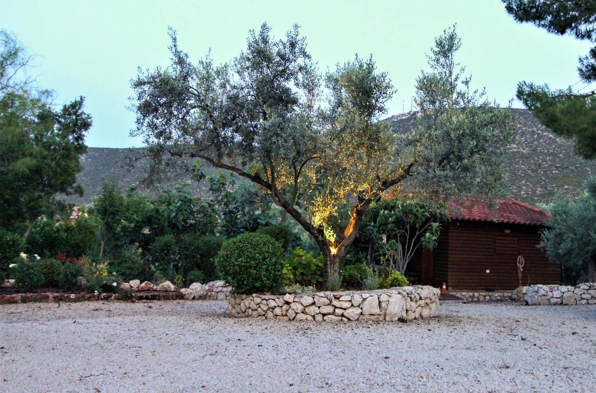 Villa Korina Metochi  Dış mekan fotoğraf